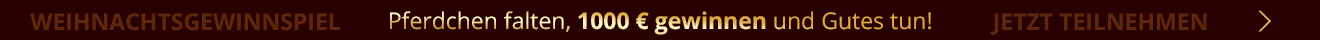 Weihnachtsgewinnspiel