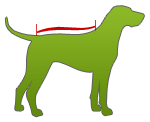 Hundemantel messen