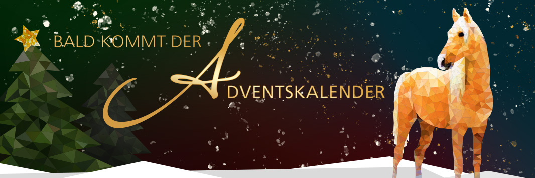 Adventskalender