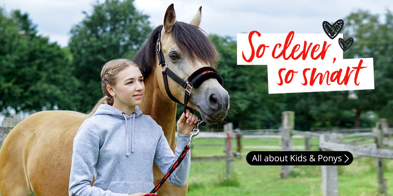 Loesdau Pferdesport Reitbedarf Reitartikel Reitsport Shop loesdau-pferdesport-reitbedarf-reitartikel-reitsport-shop