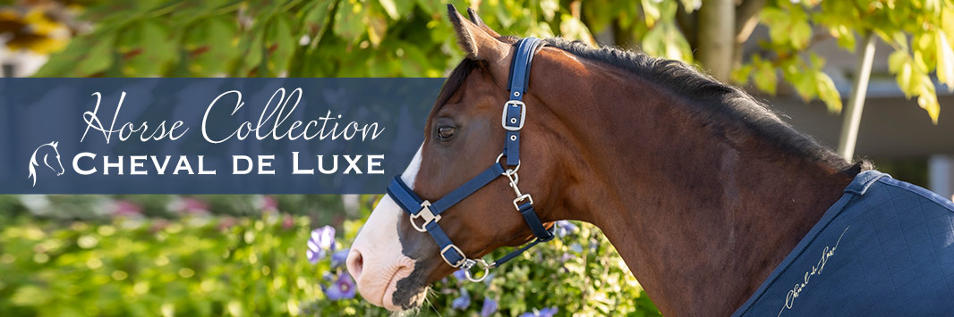 Horse Collection by Cheval de Luxe
