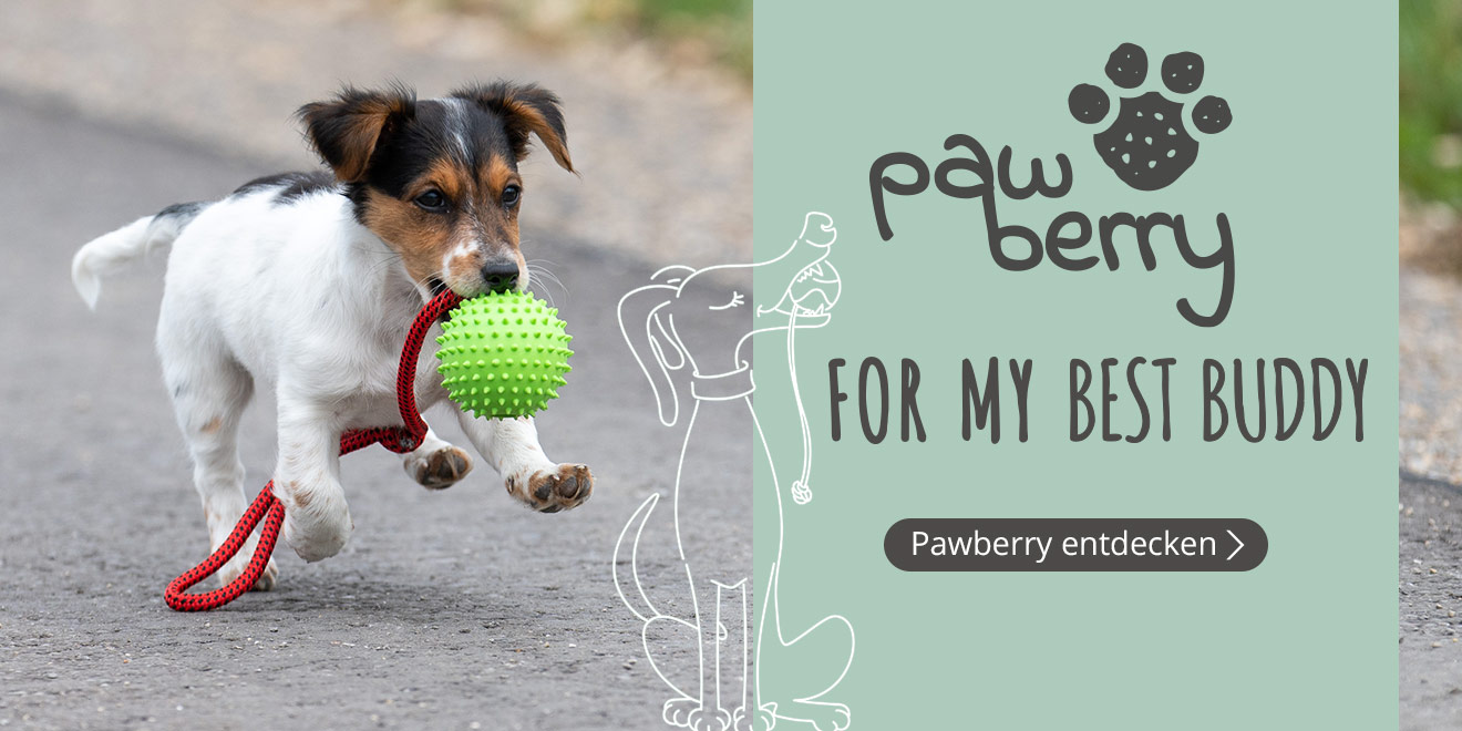 Pawberry. For my best buddy.