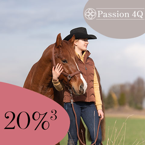 20 %³ auf Passion 4Q