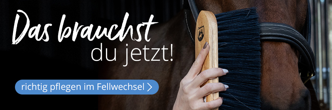 Putzen & Pflegen - Pferd - Loesdau - Passion Pferdesport
