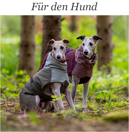 Hundezubehör