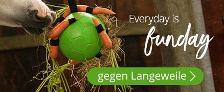 Everday is funday. Gegen Langeweile