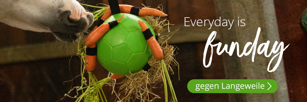 Stall, Weide, Reitplatz & Transport