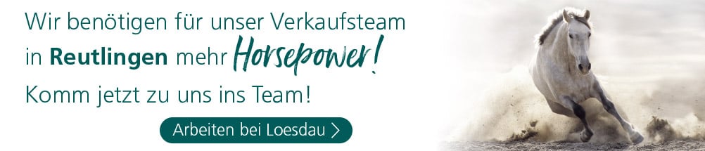 Wir benötigen für unser Verkaufsteam in Reutlingen mehr Horsepower. Komm jetzt zu uns ins Team. Arbeiten bei Loesdau.