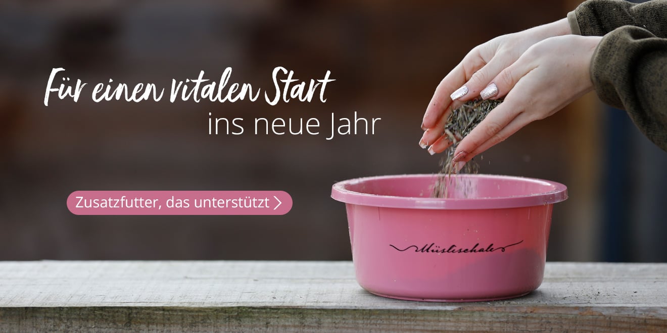 Für einen vitalen Start ins neue Jahr. Zusatzfutter, das unterstützt