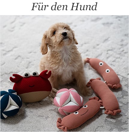 Hundezubehör