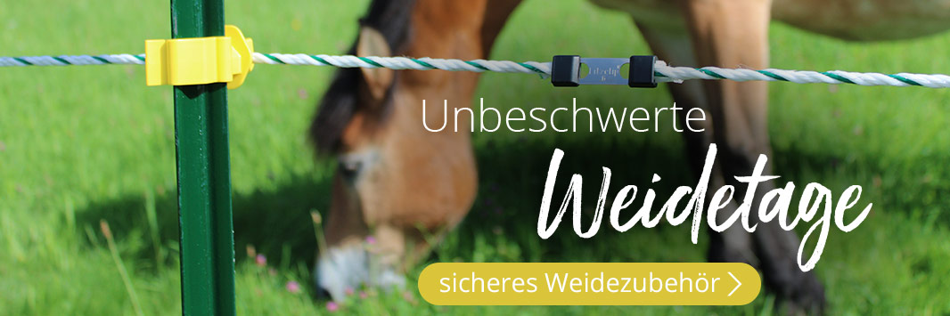 Stall, Weide, Reitplatz & Transport