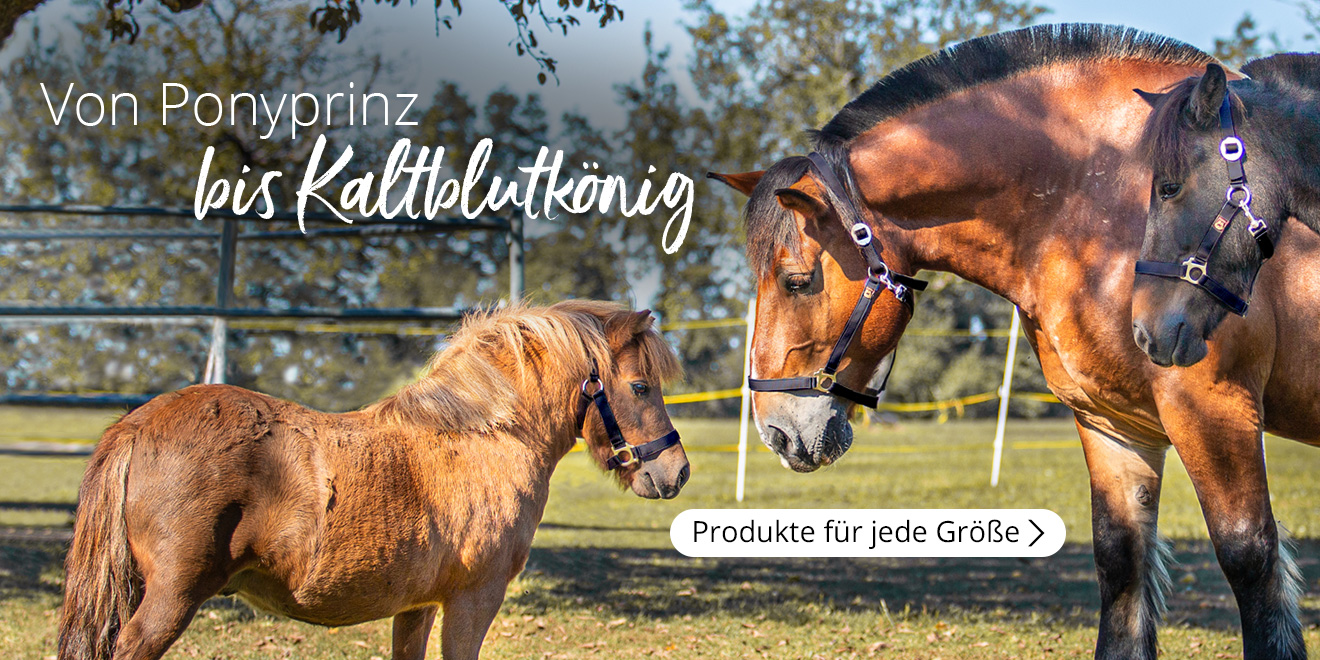 Von Ponyprinz bis Kaltblutkönig. Produkte für jede Größe.