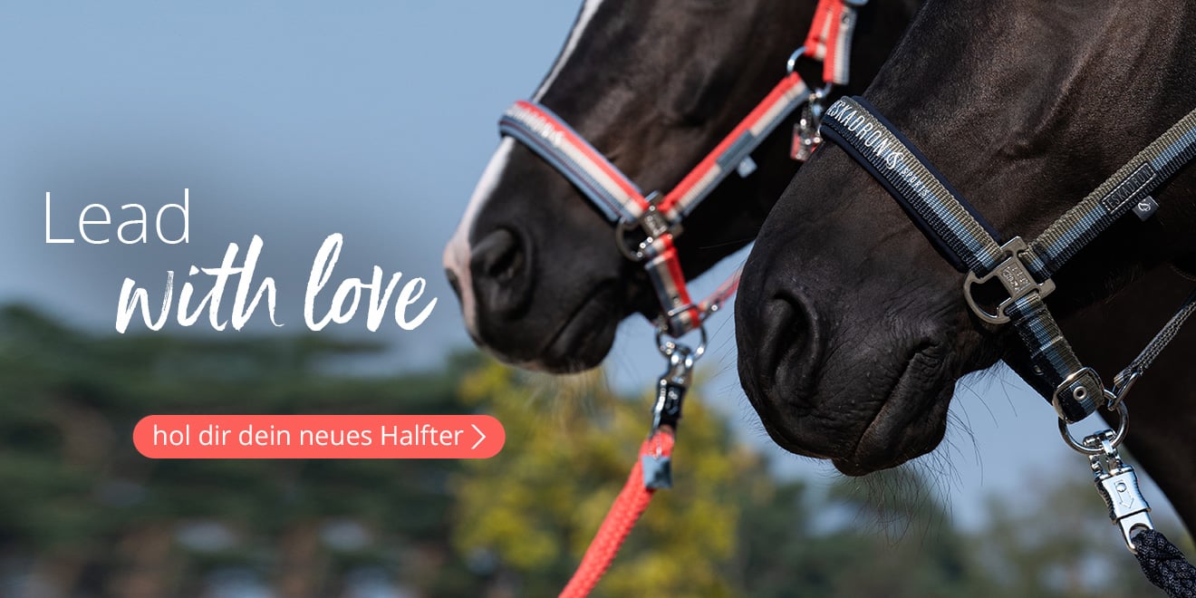 Lead with love. Hol dir dein neues Halfter