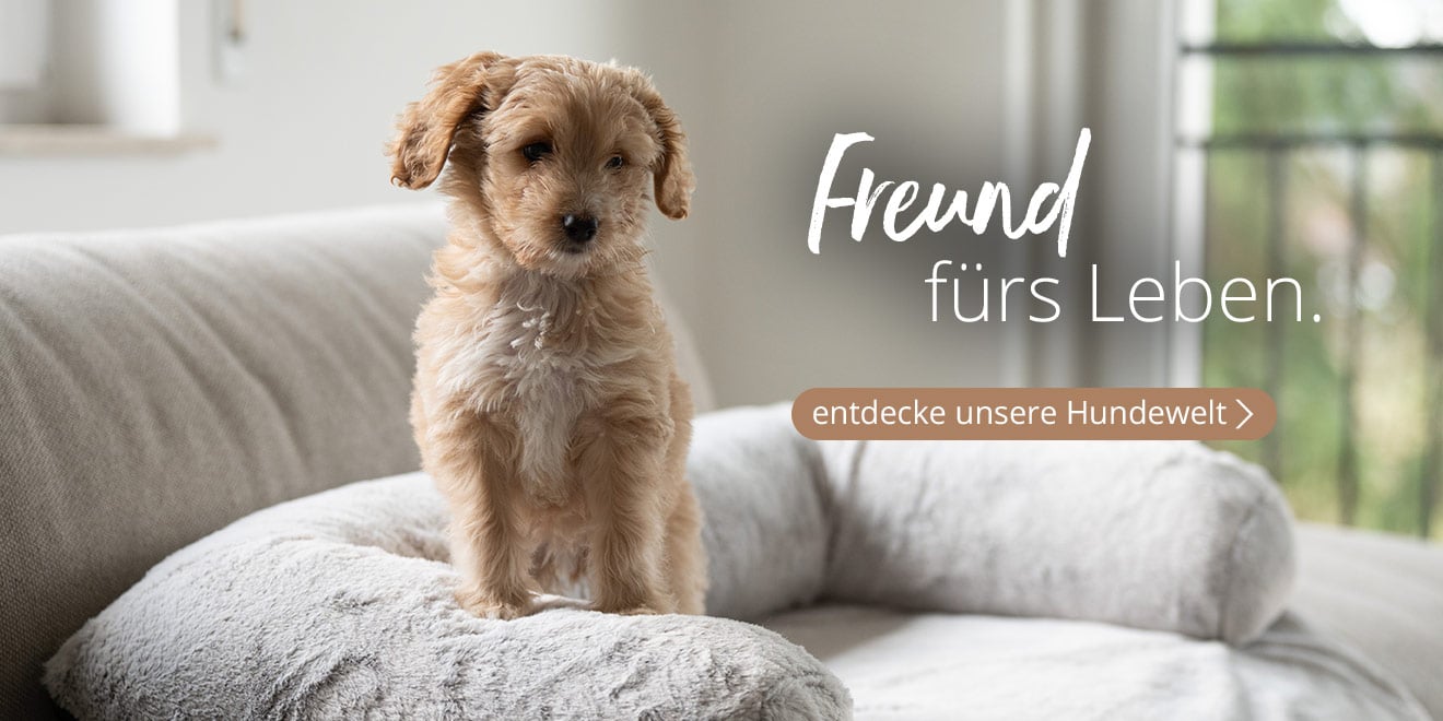 Freund fürs Leben. Entdecke unsere Hundewelt