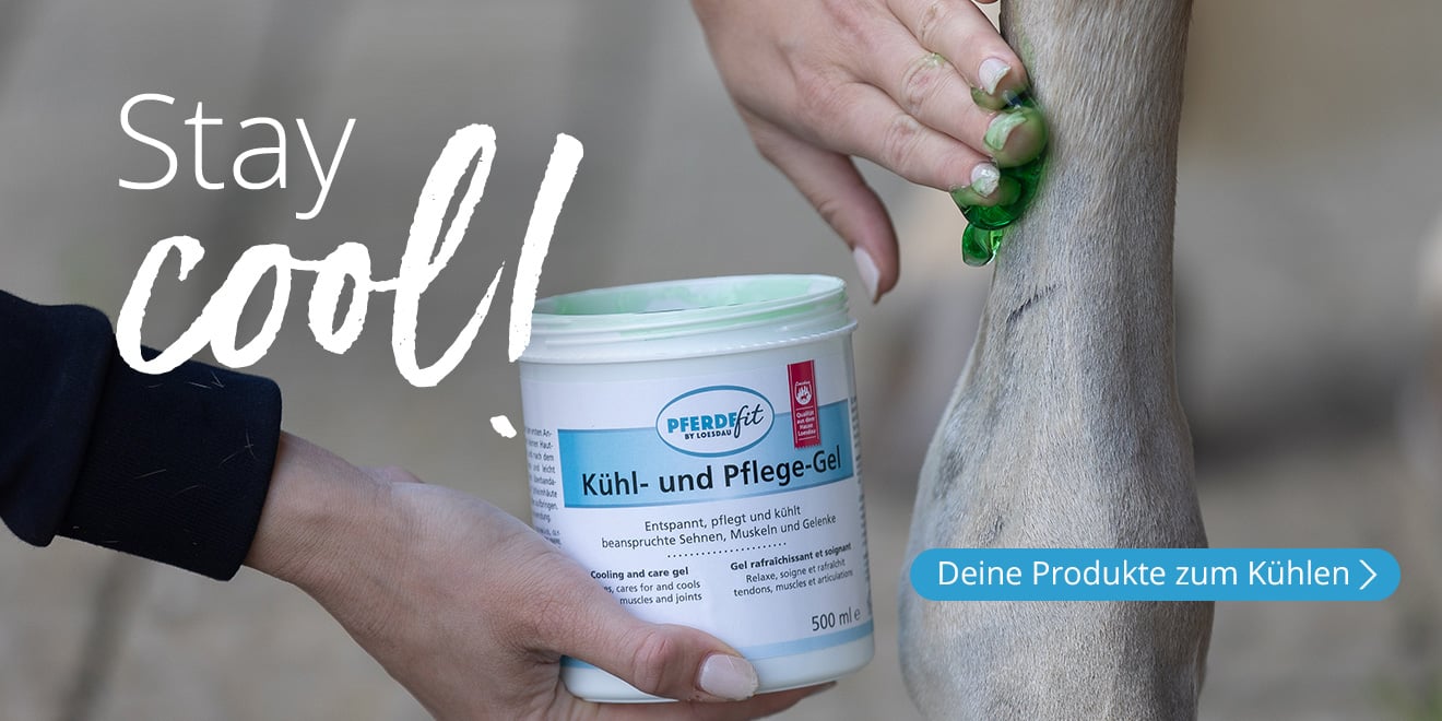 Stay Cool. Deine Produkte zum Kühlen