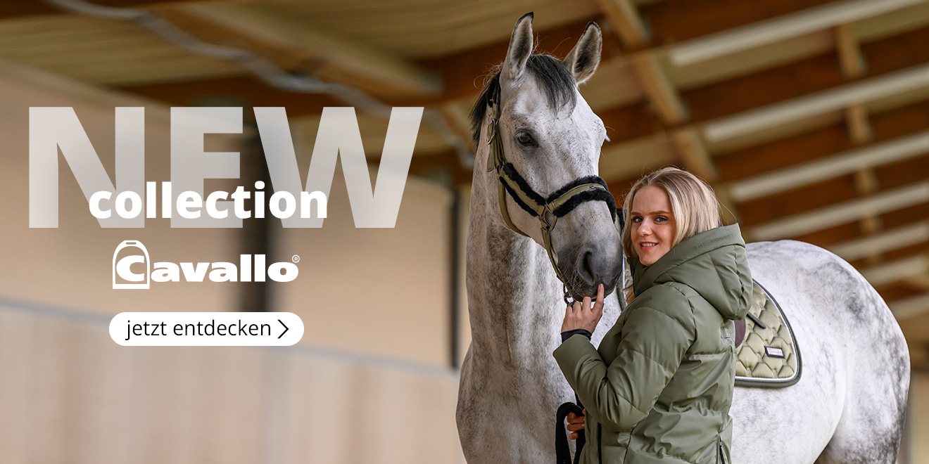 New collections Cavallo. Jetzt entdecken