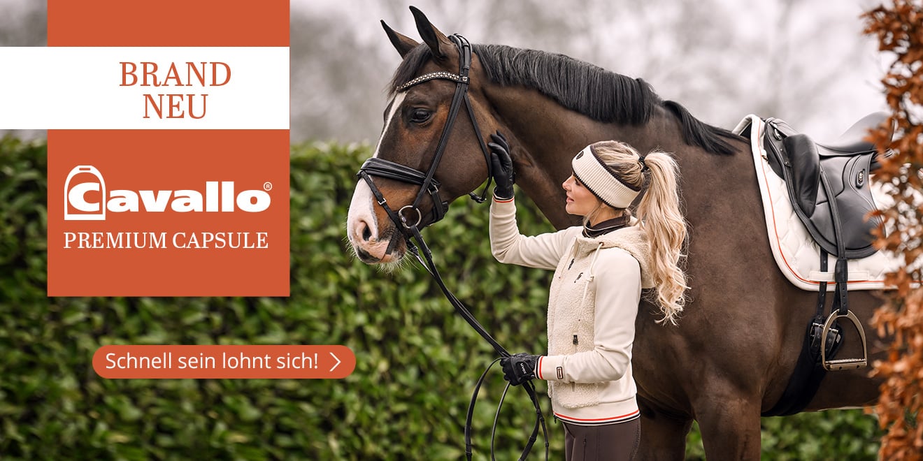 Brand New. Cavallo Premium Capsule. Schnell sein lohnt sich!