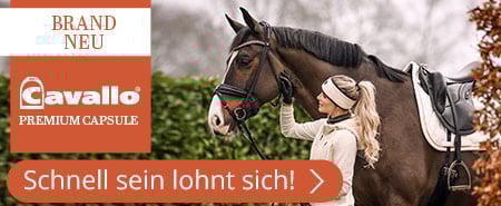 Brand New. Cavallo Premium Capsule. Schnell sein lohnt sich!