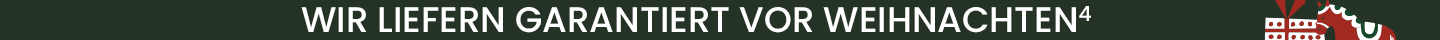 Wir liefern garantiert bis Weihnachten⁴