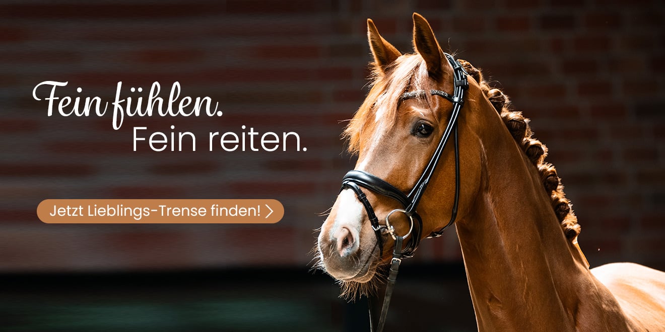 Fein fühlen, fein reiten. Jetzt Lieblings-Trense finden!