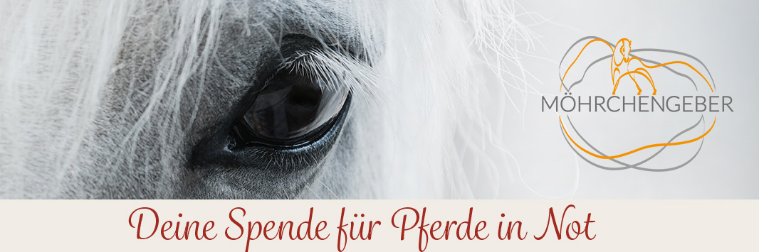 Möhrchengeber- Loesdau Charity