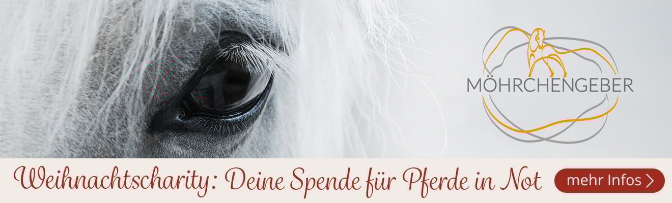 Weihnachts-Charity: Deine Spende für Pferde in Not. mehr Infos