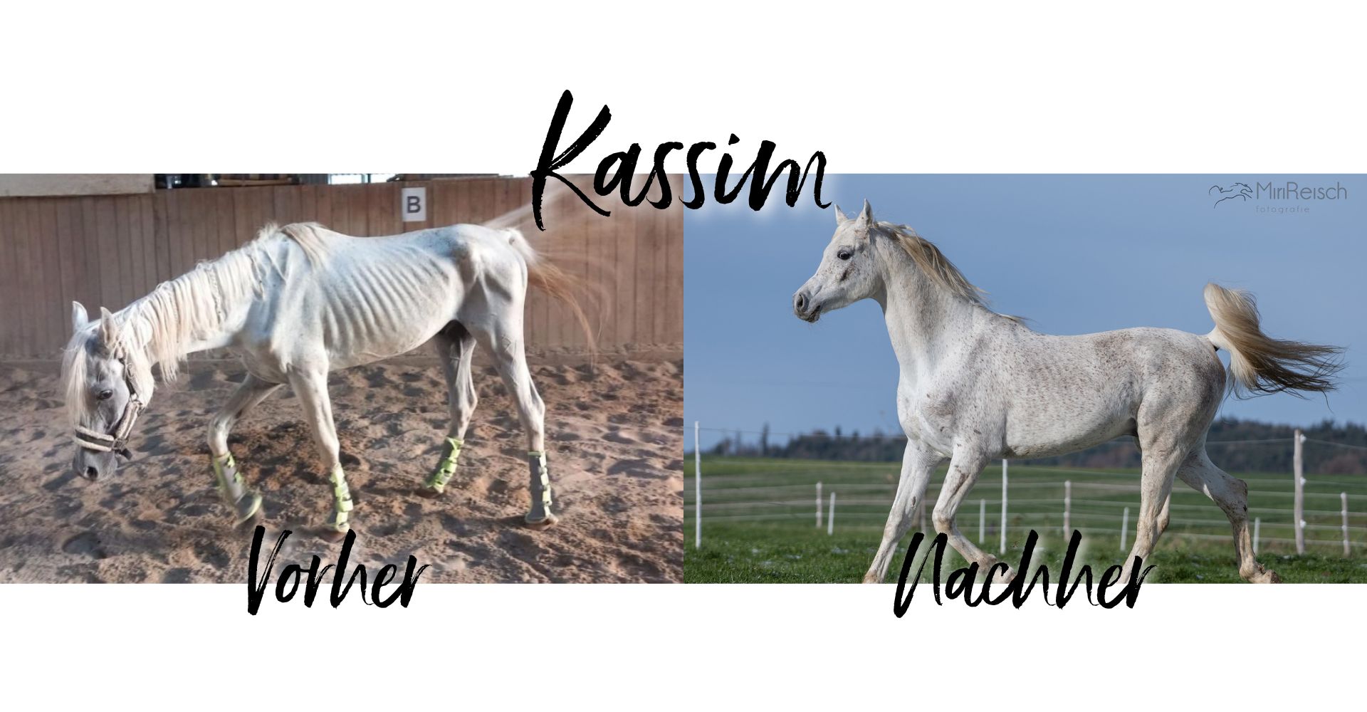 Kassim vorher/nachher