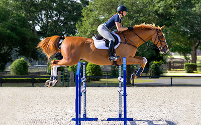 Reiterin springt mit ihrem Pferd über ein Hindernis auf dem Trainingsplatz