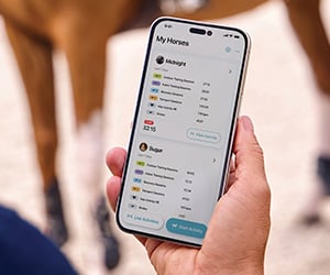 Smartphone mit Auswertung der Trainingsdaten