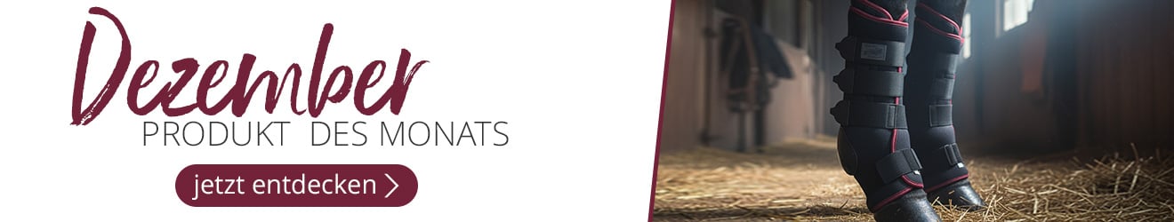 Produkt des Monats Dezember. Jetzt entdecken