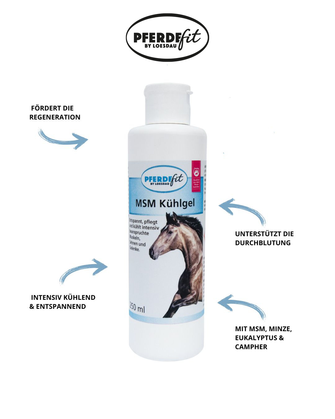 Das innovative Kühlgel bietet wohltuende Linderung nach intensiver Beanspruchung von Muskeln, Sehnen und Gelenken. Die perfekt abgestimmte Kombination aus MSM (Methyl Sylfonyl Methan), Eukalyptus, Minze und Campher kühlt langanhaltend, fördert die Regeneration und unterstützt die Durchblutung - ideal nach sportlichen Belastungen oder langen Ausritten.