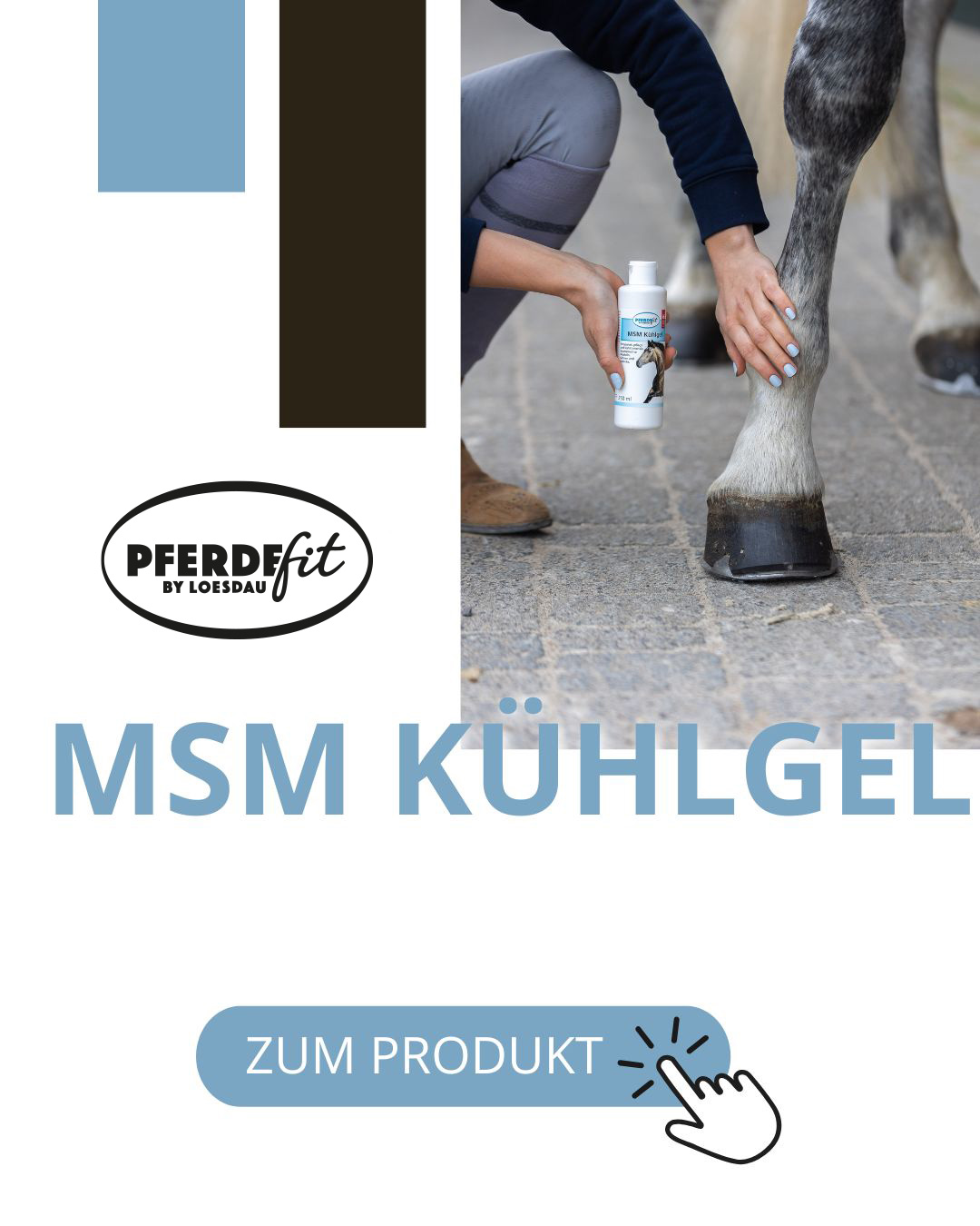Pferdefit MSM Kühlgel
