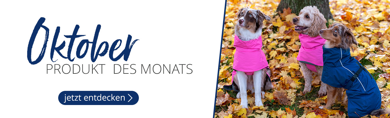Produkt des Monats Oktober. Jetzt entdecken