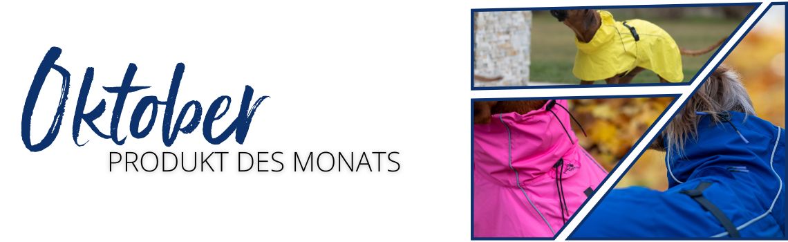 Produkt des Monats: Oktober