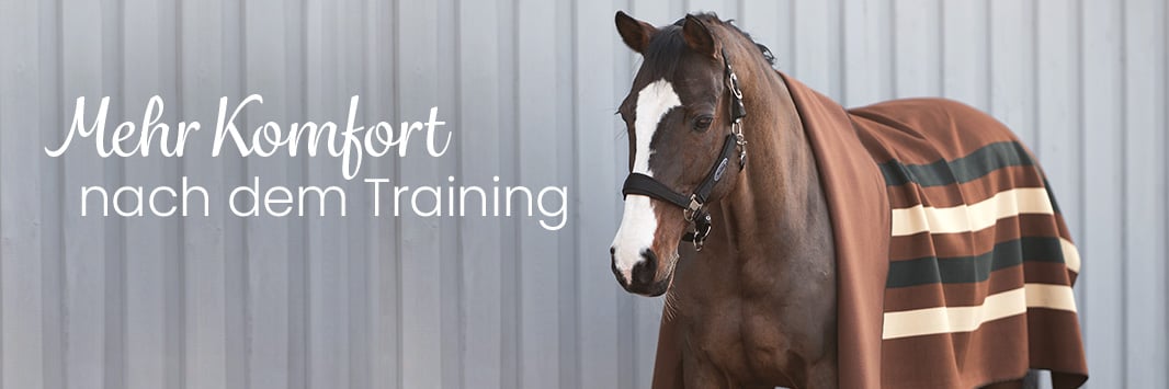 Abschwitzdecken & Transportdecken