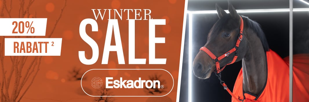 Eskadron SALE