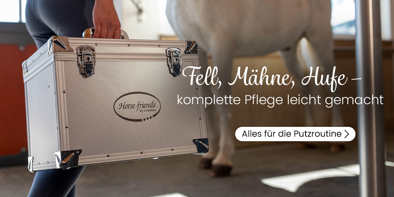 Fell, Mähne, Hufe - komplette Pflege leicht gemacht. Alles für die Putzroutine.