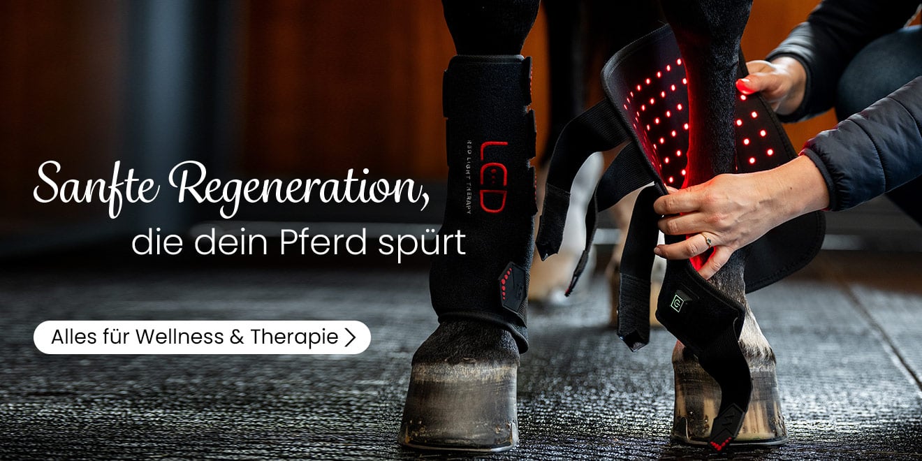 Sanfte Regeneration, die dein Pferd spürt. Alles für Wellness & Therapie.