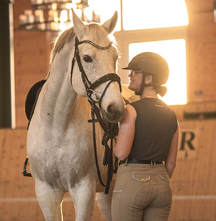Themenshop Neuheiten