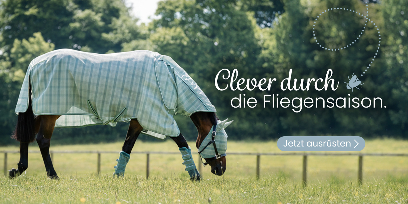 Clever durch die Fliegensaison. Jetzt ausrüsten