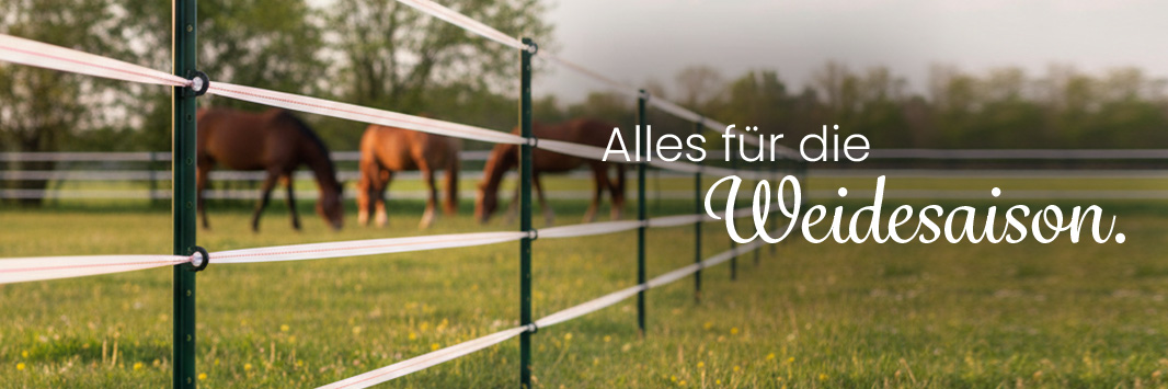 Weidesaison