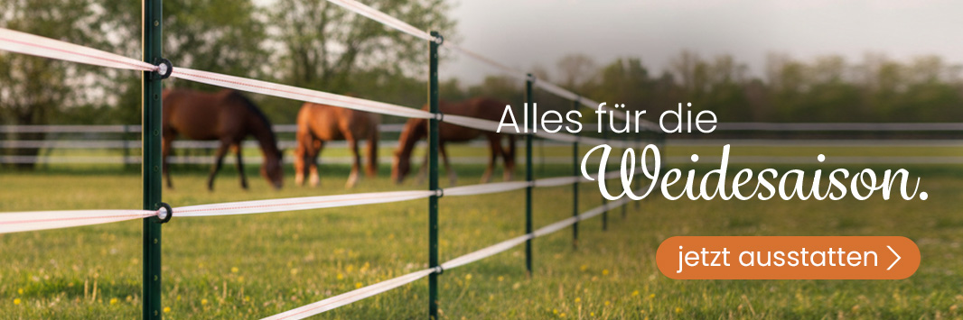 Stall, Weide, Reitplatz & Transport