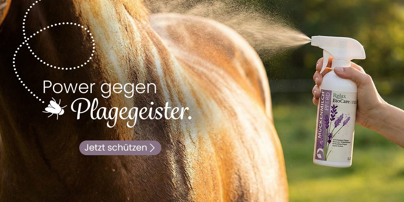 Power gegen Plagegeister. Jetzt schützen