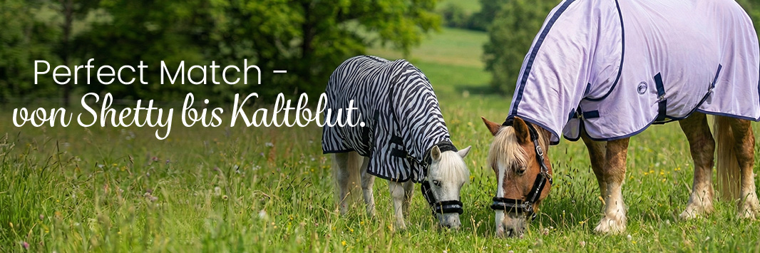 Ponyshop