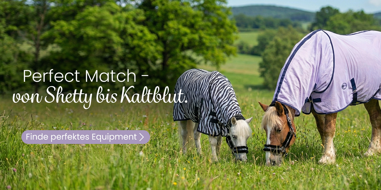 Perfekt Match - von Shetty bis Kaltblut. Finde perfektes Equipment
