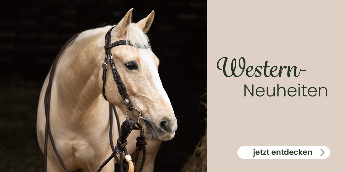 Western-Neuheiten. Jetzt entdecken