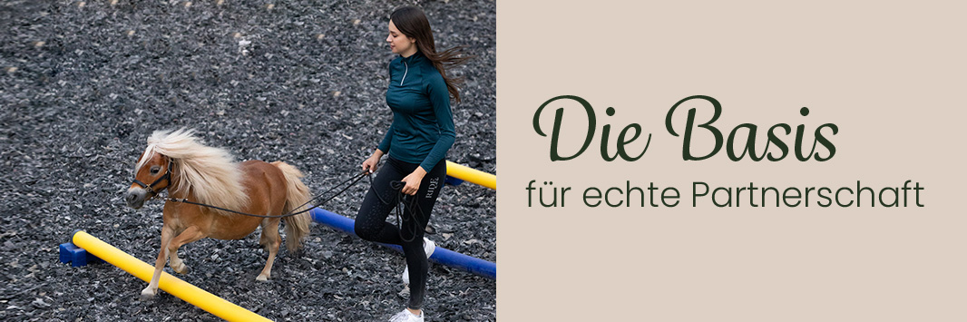 Bodenarbeit Zubehör