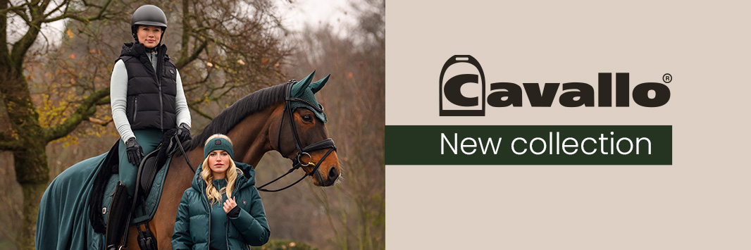 Cavallo