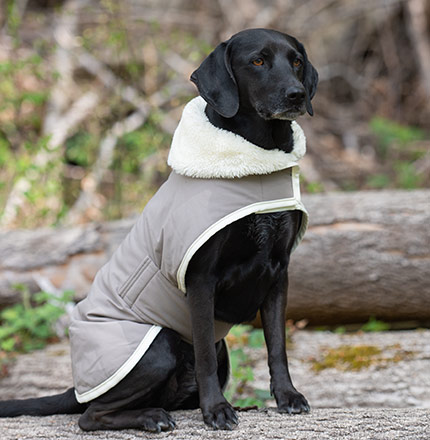 Hundezubehör