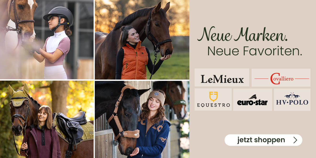 Neue Marken. Neue Favouriten. Jetzt shoppen